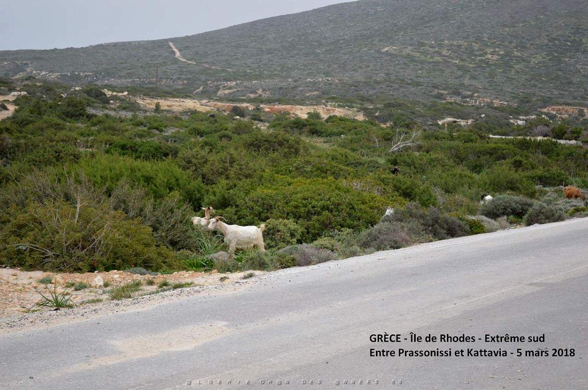 062- Tour de l'ile de Rhodes.JPG